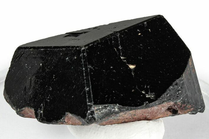 Lustrous Black Tourmaline (Schorl) Crystal - Namibia #348749